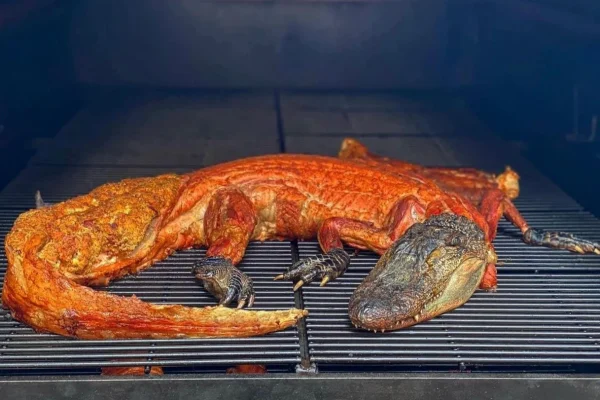 Alligator Meat, Kuliner Eksotis dengan Cita Rasa Unik